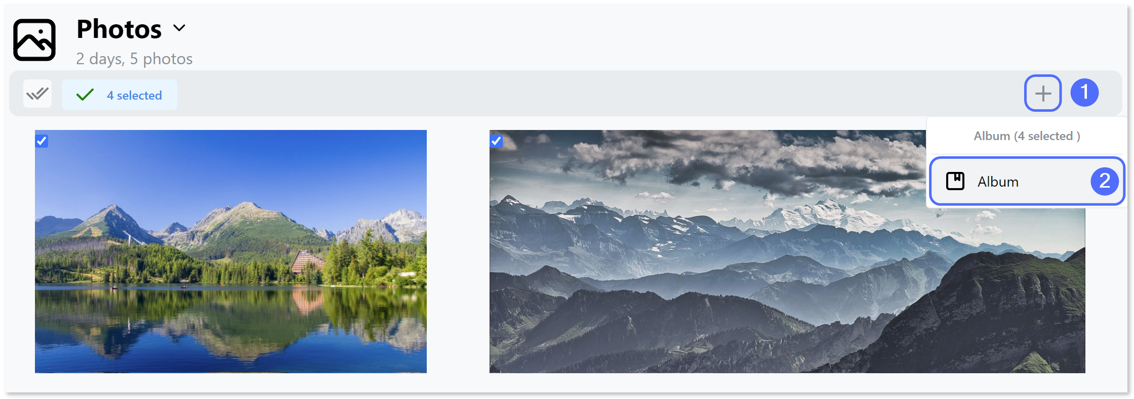 Selecting 'Album' form the list of options.