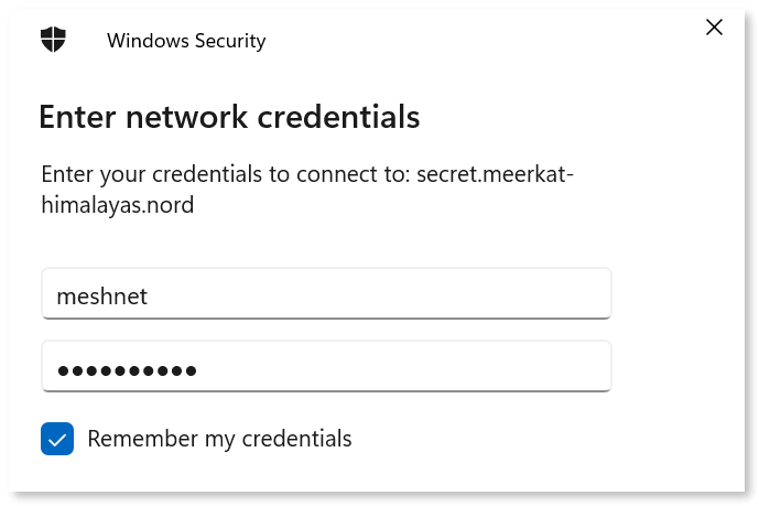 Windows defender dialog with filled in authentication credentials.