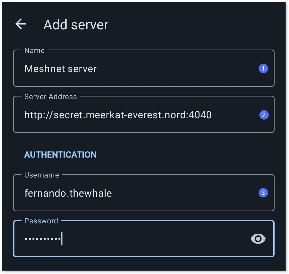 Filled in details for the Meshnet Airsonic server.