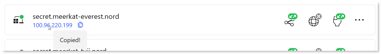 "Copied!" message displayed next to the Meshnet IP address.