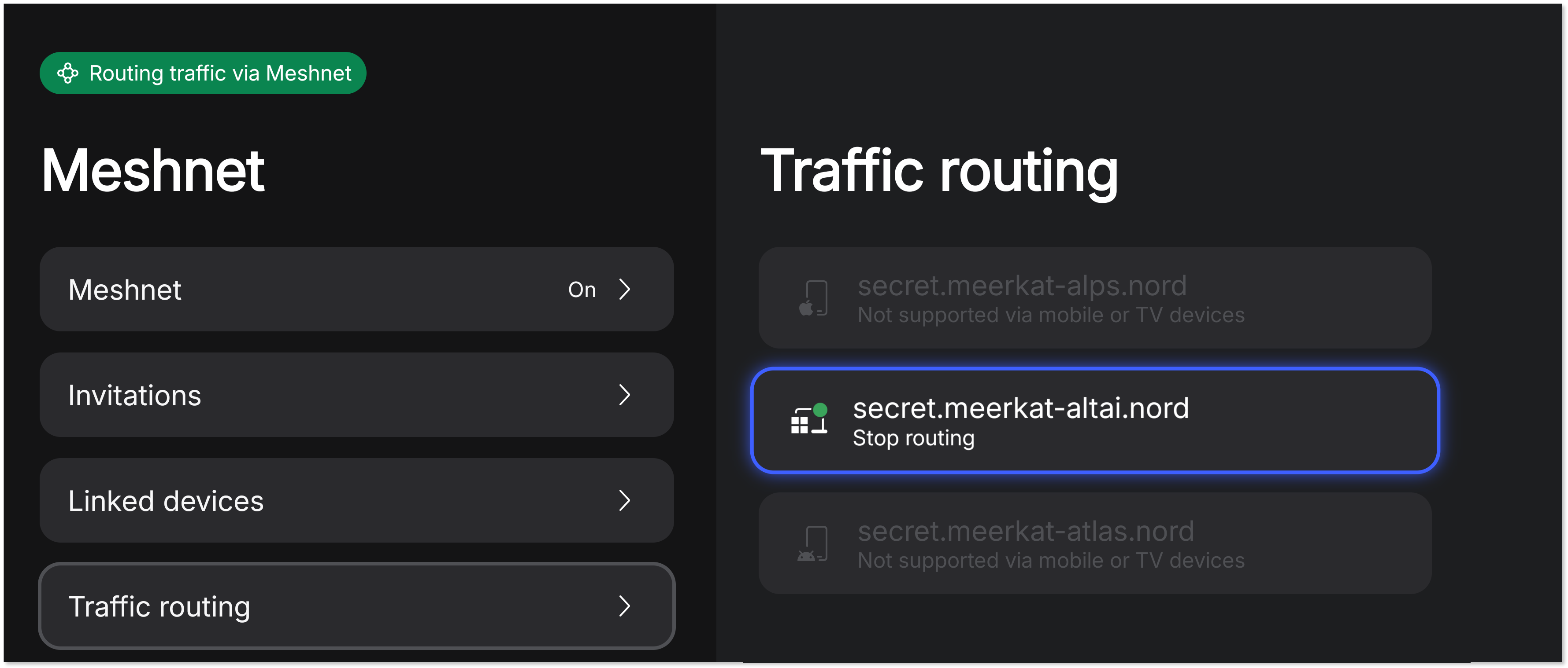 Traffic routing host device with a green bubble indicator selected in the "Traffic routing" section