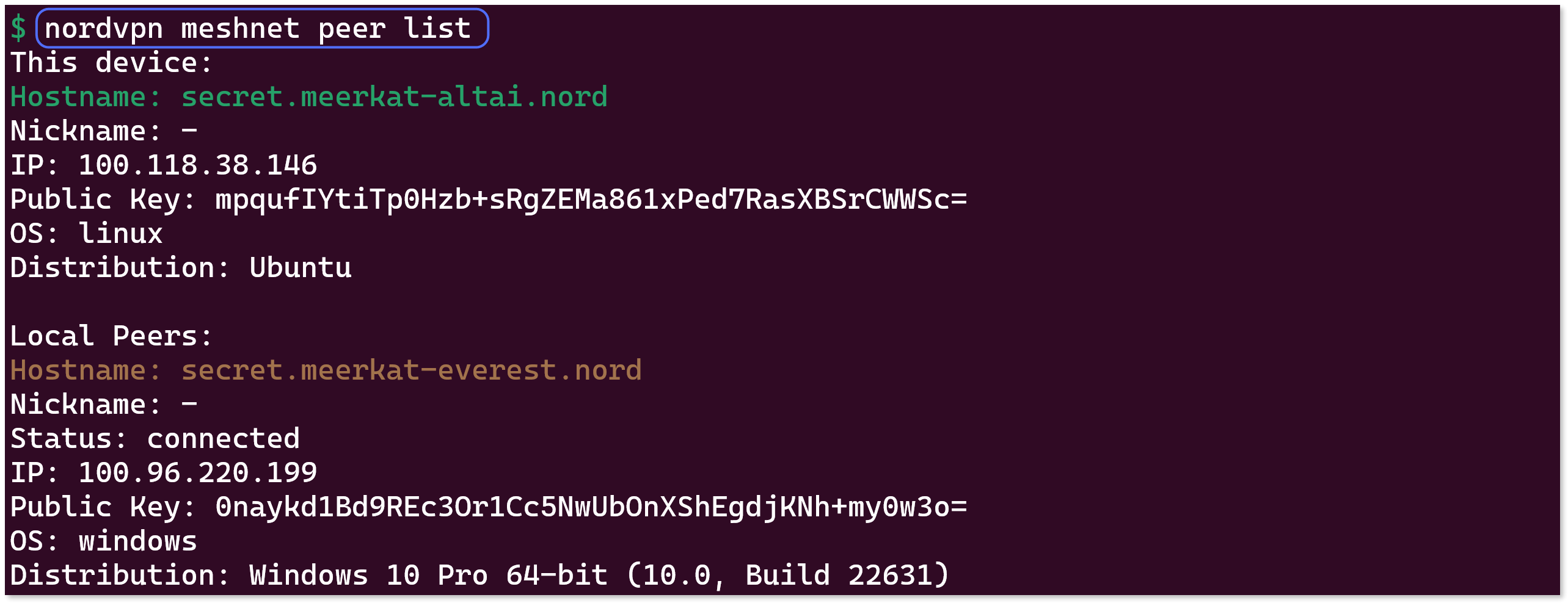 Terminal window showing the output of the 'nordvpn meshnet peer list' command.