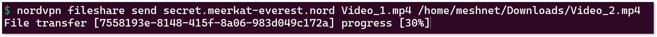 Two file paths are displayed next to the 'nordvpn fileshare send' command in the terminal