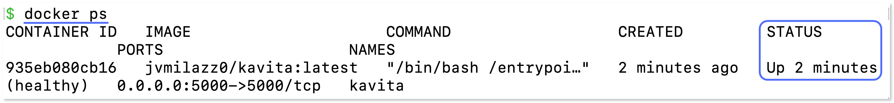 Terminal output showing the container status as "Up"