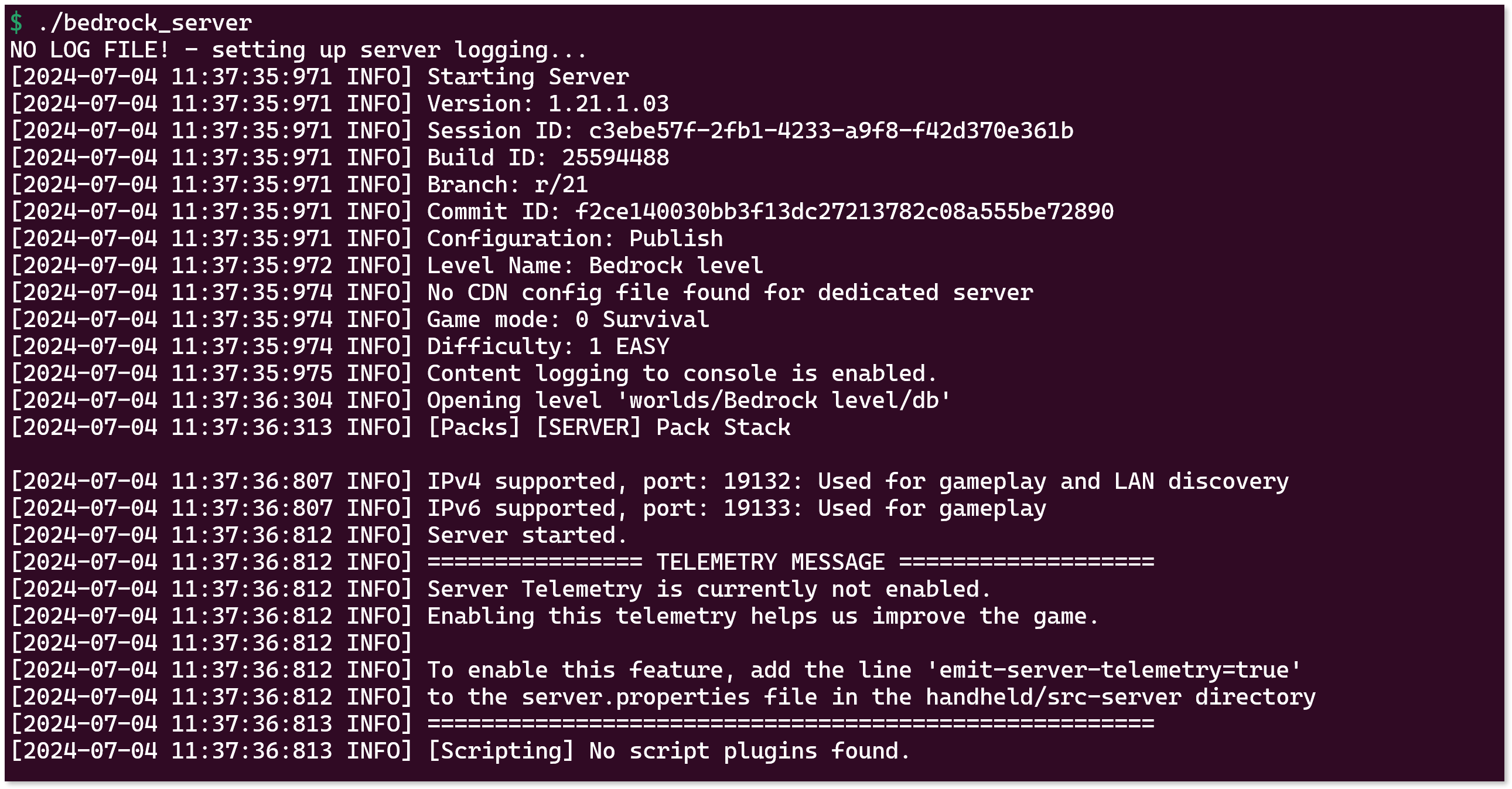 The server is starting in the terminal