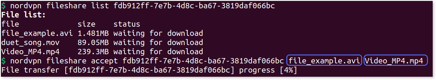 CLI showing the "nordvpn fileshare accept <id>" command with two file names highlighted