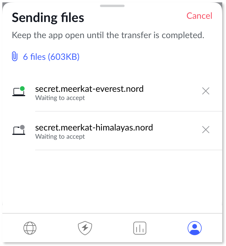 The waiting status of the initiated file transfer is displayed.