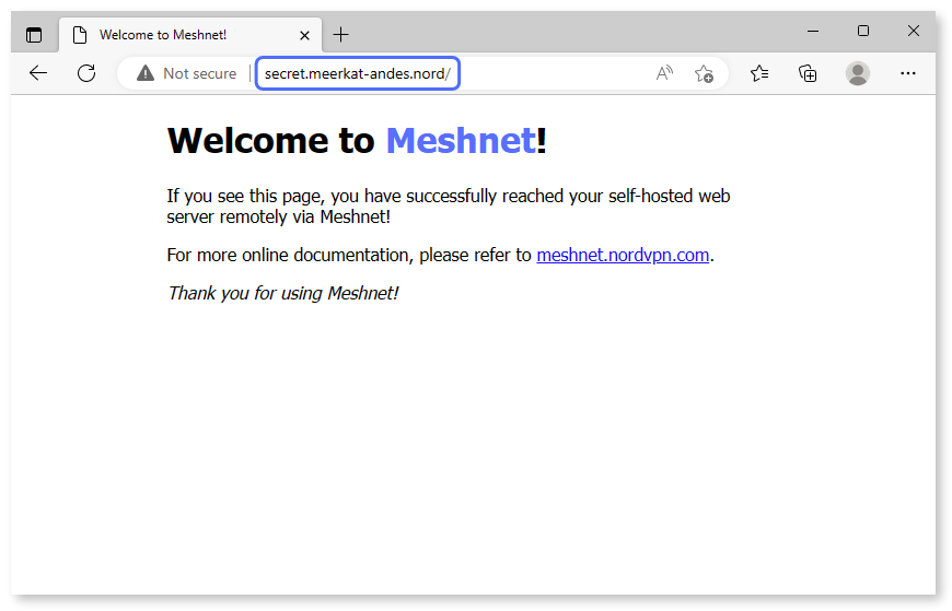 Custom NGINX website showing after entering the Nord name to the URL bar.