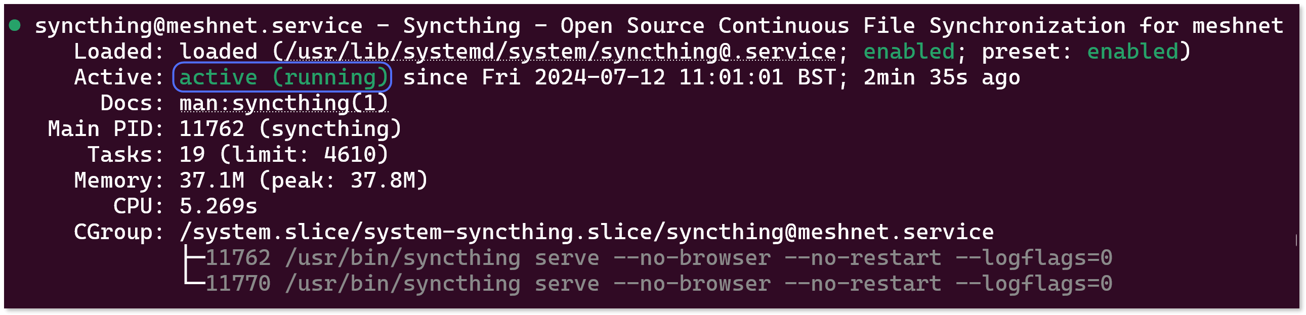 Terminal output showing the the Syncthing process is active and running.