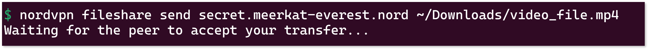 The "Waiting for the peer to accept your transfer" message is displayed in the terminal