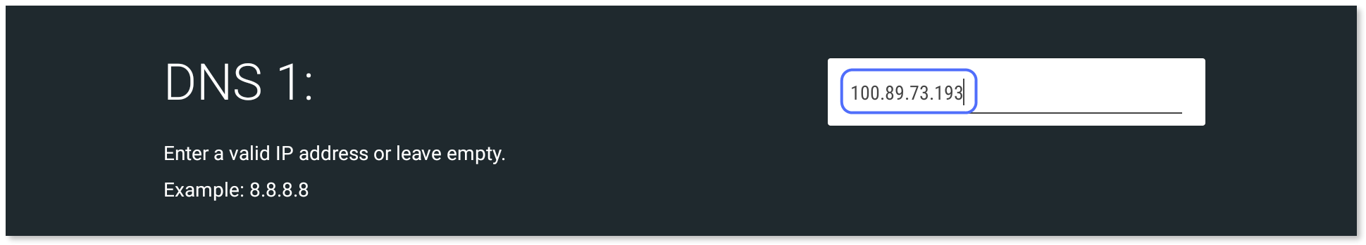 Meshnet IP address entered in the DNS 1 field.