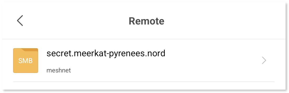 Meshnet remote folder displayed in the file manager.