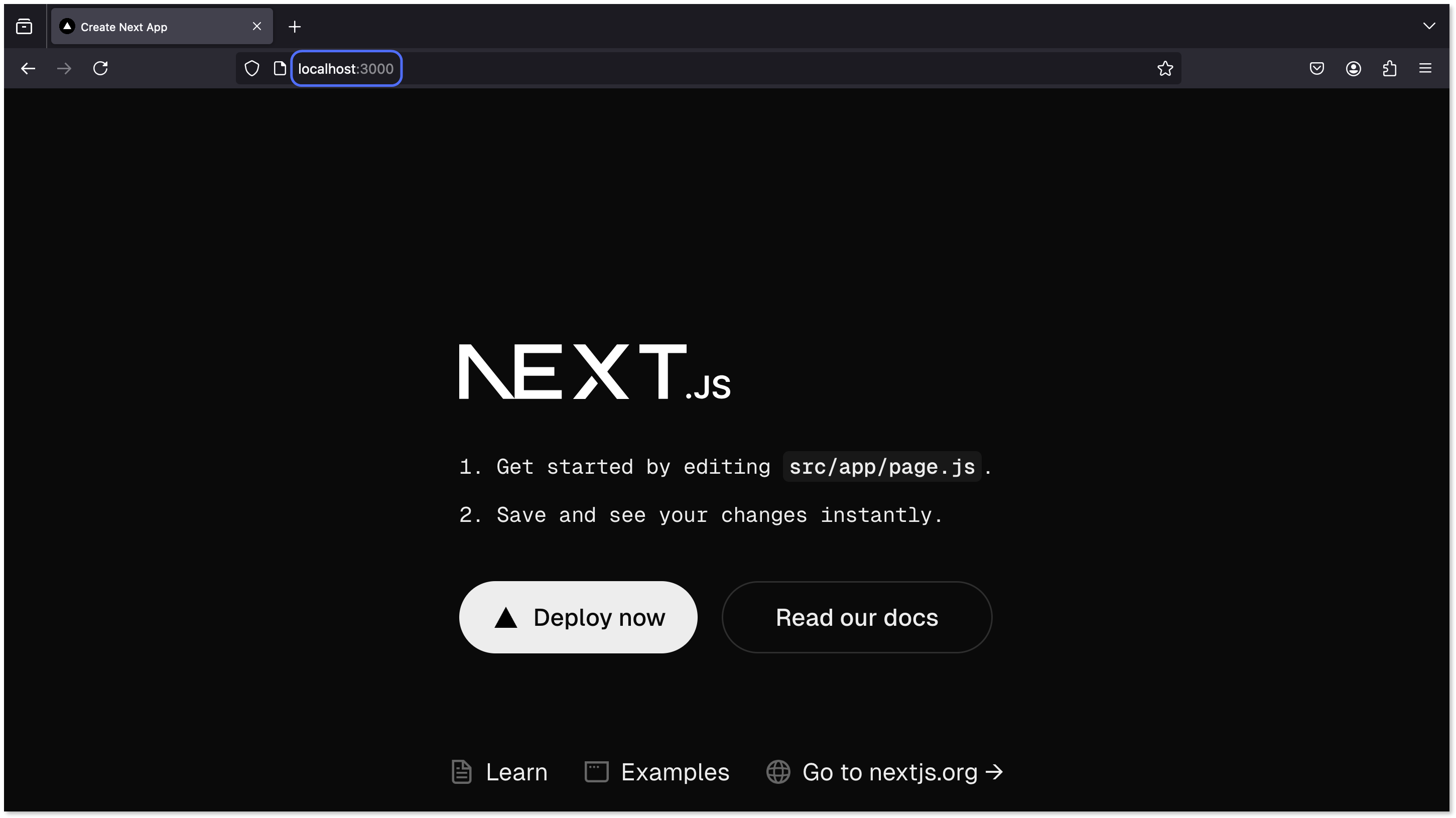 URL of the Next.js landing page highlighted.