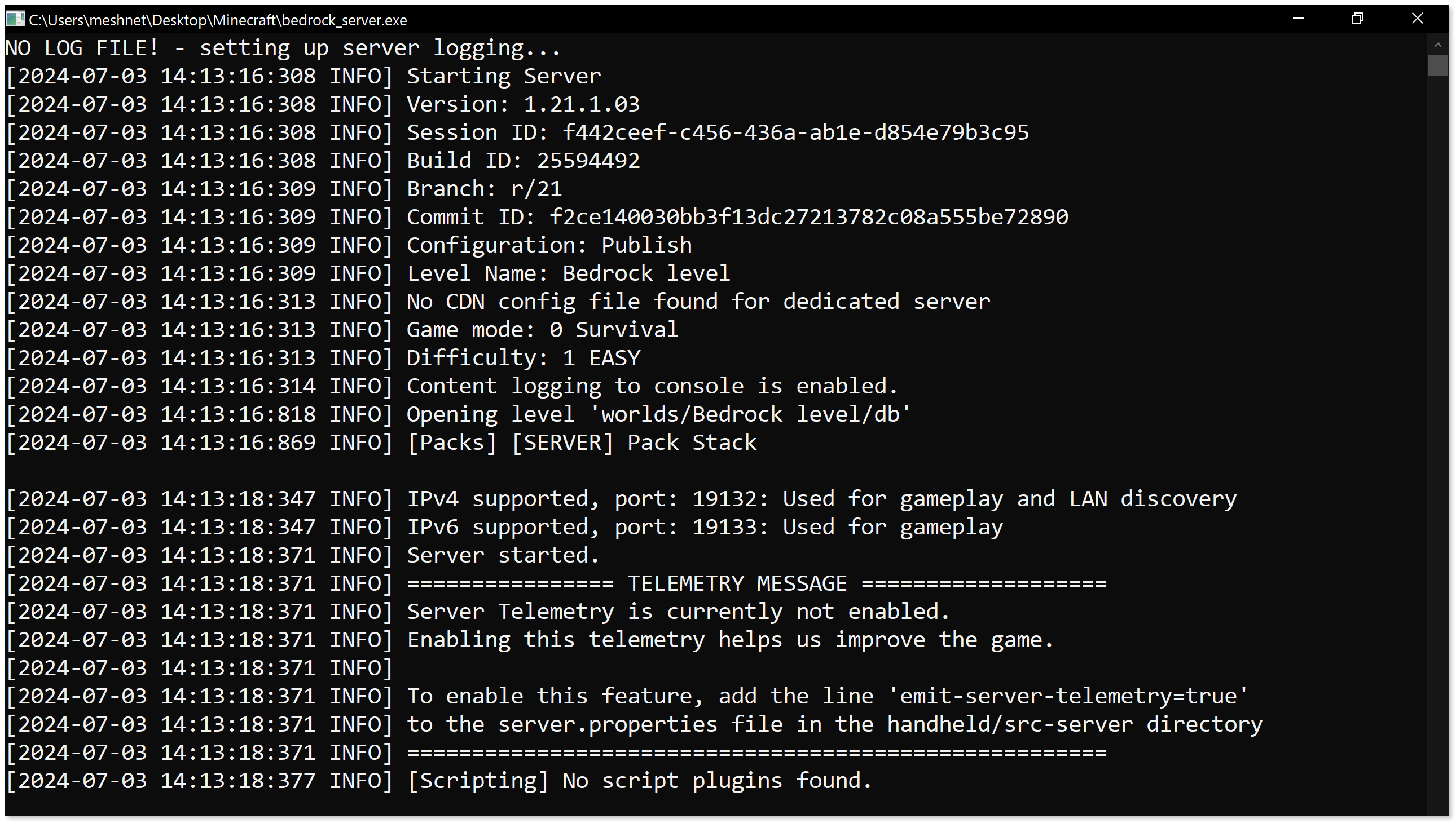 Bedrock Minecraft server started