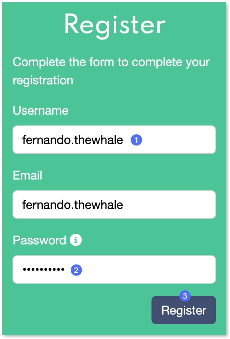 Registration form with the account details filled in.