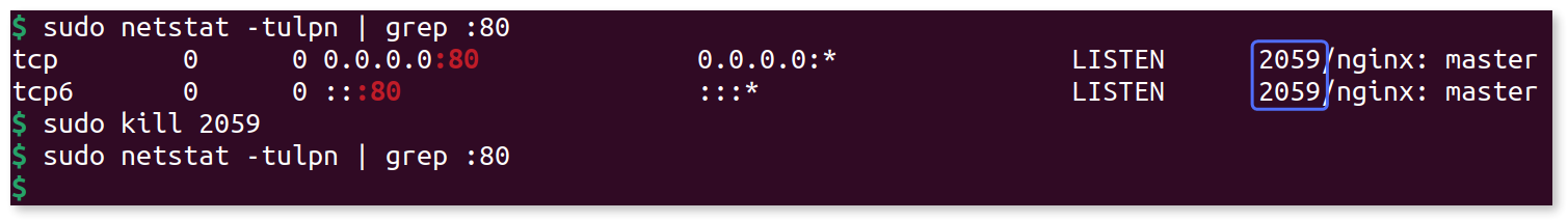 Terminal output showing processes that are using port 80.