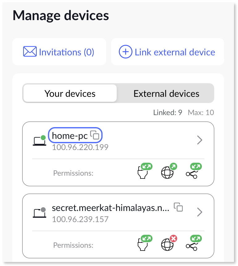 Custom nickname displayed in the Meshnet peer device list.