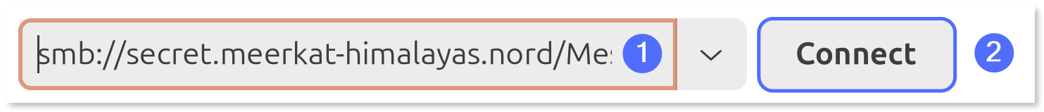 Shared folder's network path entered in the file manager.