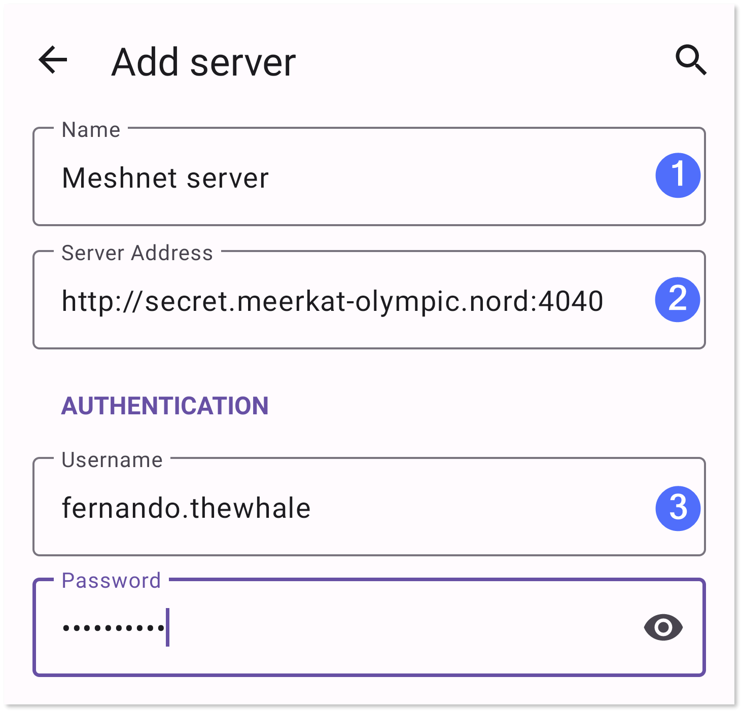Filled in details for the Meshnet Airsonic server.