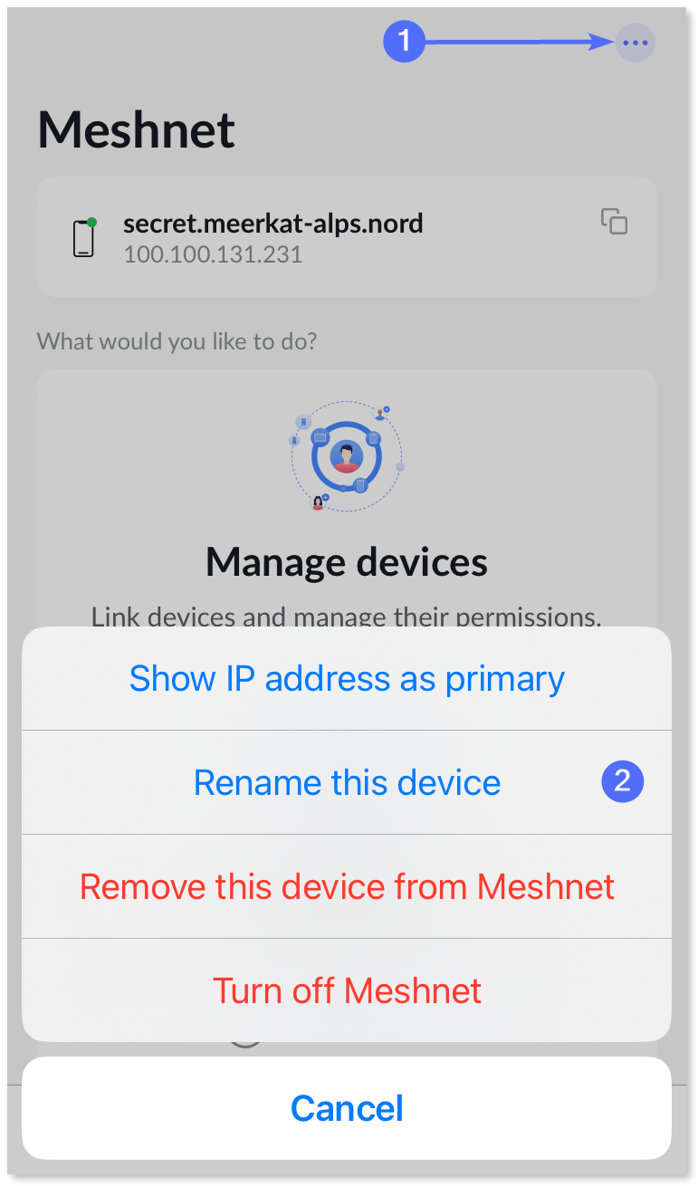 Arrow pointing to the More menu button and the menu's items displayed on the screen.