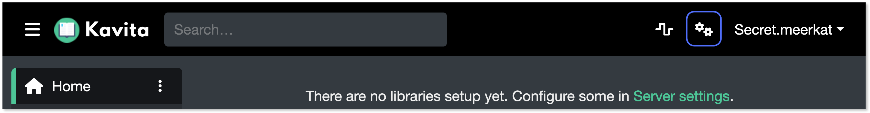 "Server settings" icon button highlighted.