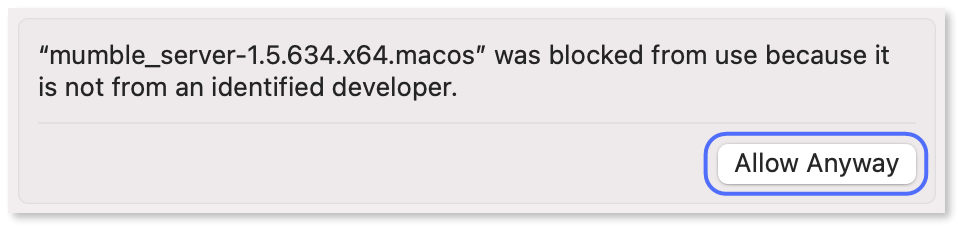 Clicking 'Allow anyway' in the macOS system preferences.