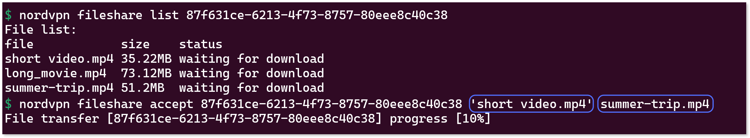CLI showing the "nordvpn fileshare accept <id>" command with two file names highlighted