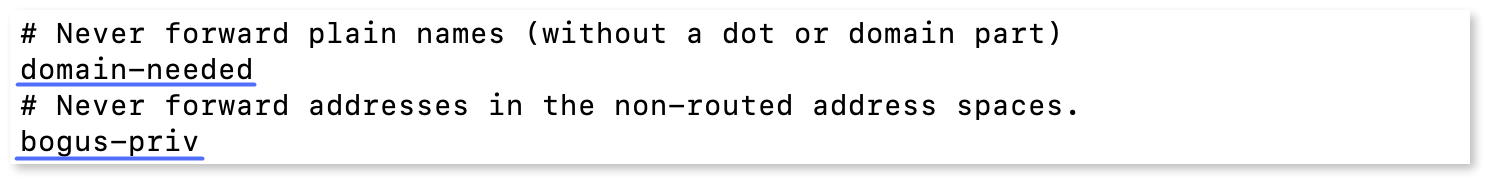domain-needed and bogus-priv lines