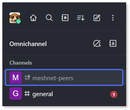 New channel visible in the 'Channels' list.