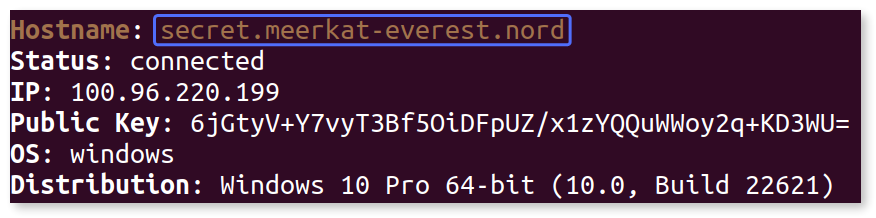 Nord name of a Meshnet peer device highlighted. 