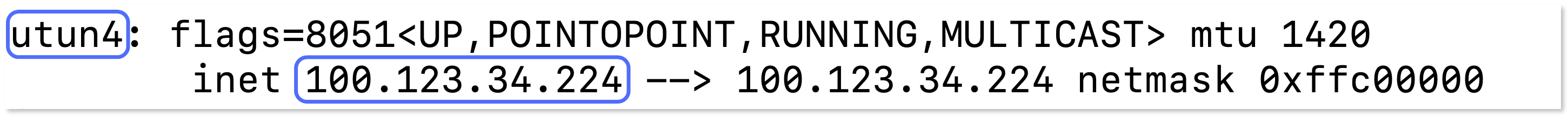 Meshnet network interface