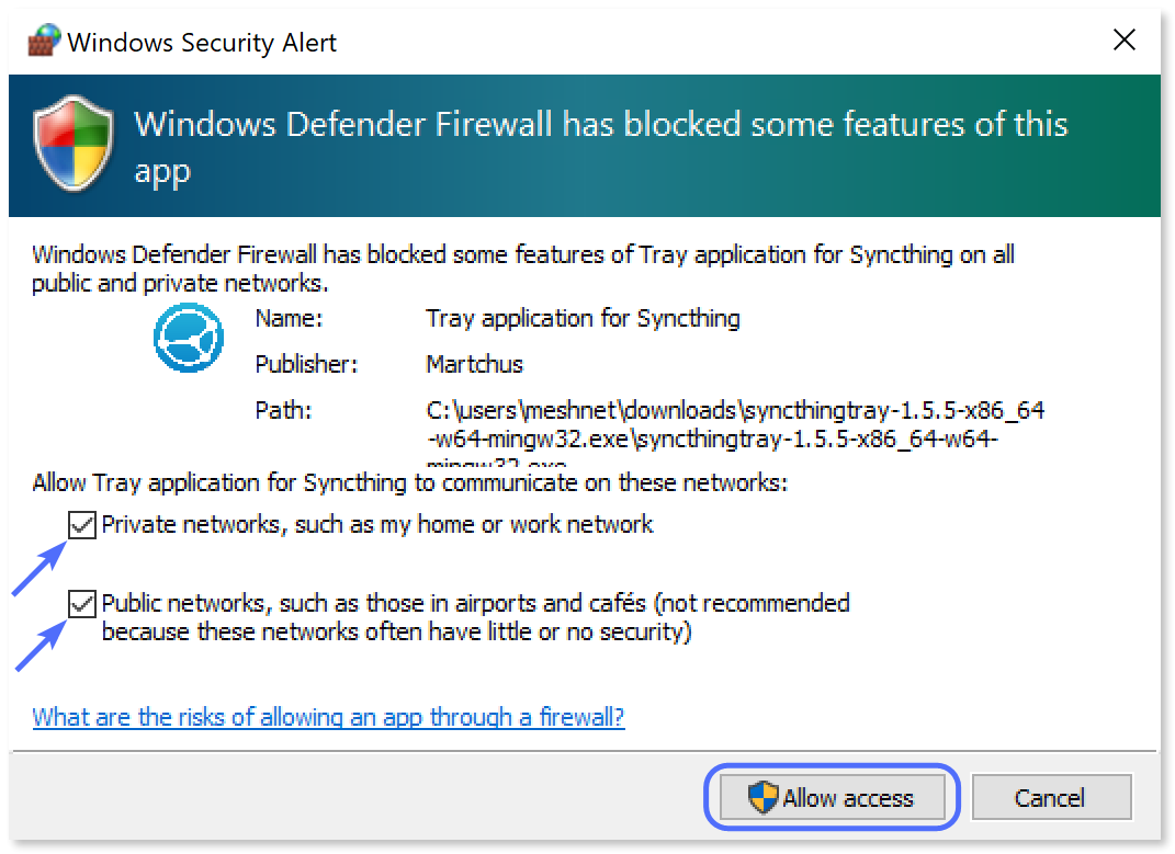 "Allow access" button highlighted in the Windows Security Alert dialog.