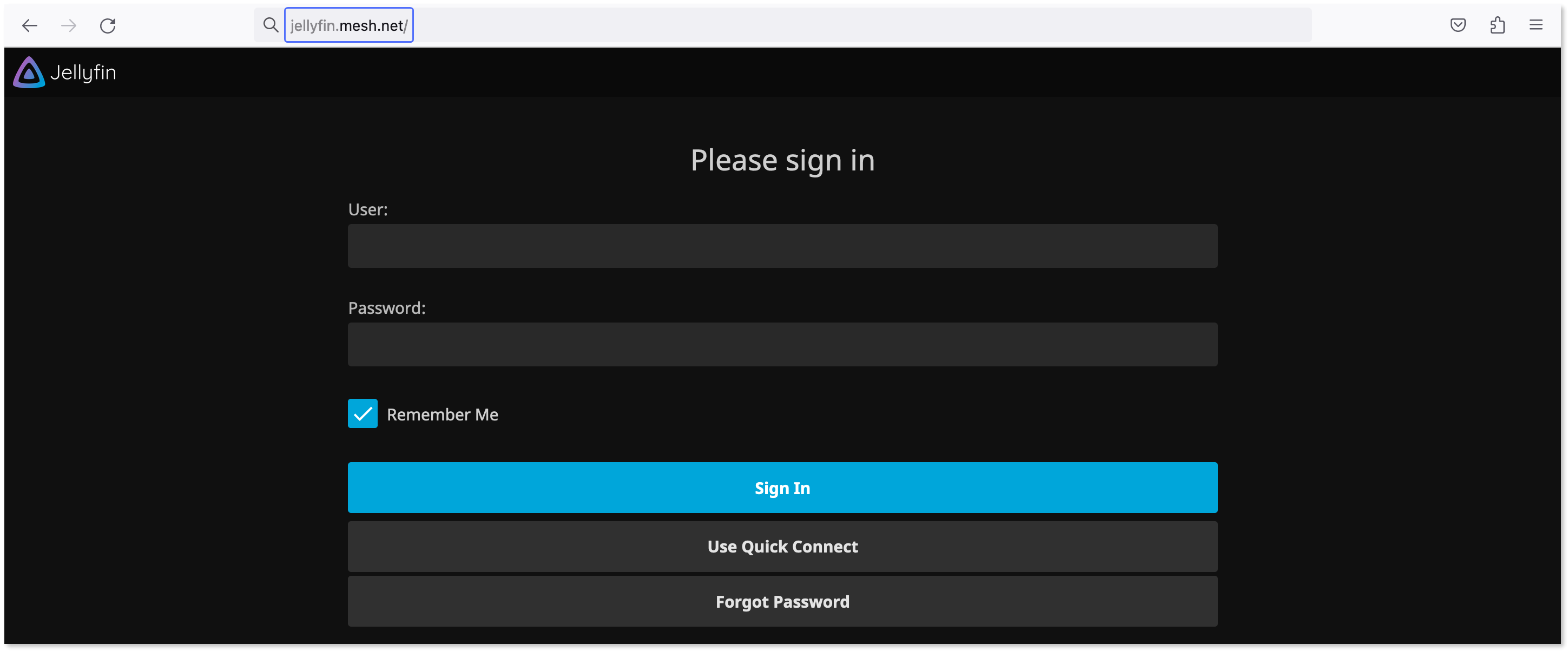 Accessing a Jellyfin server using the custom 'jellyfin.mesh.net' host name.