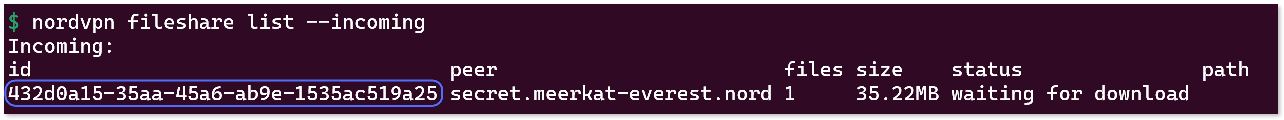 Meshnet file transfer ID highlighted in the terminal