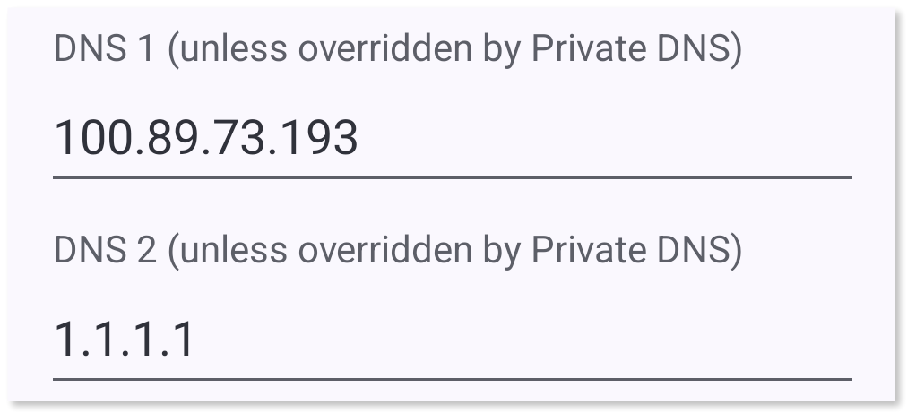 dnsmasq and alternate DNS entered in Android settings.