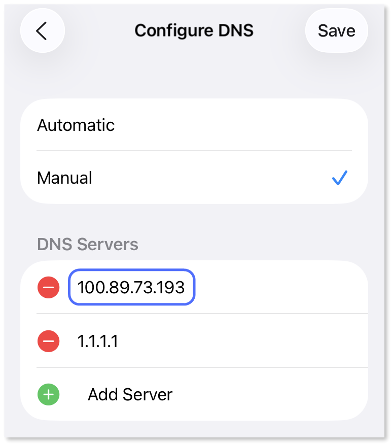 dnsmasq Meshnet IP entered in iOS DNS settings.