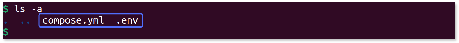 Output of the 'ls -a' command showing both of the downloaded files.