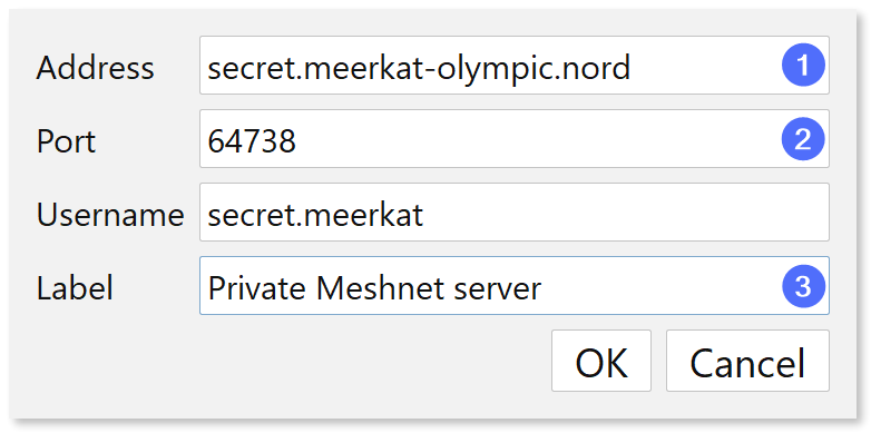 Dialog filled in with Mumble server information.