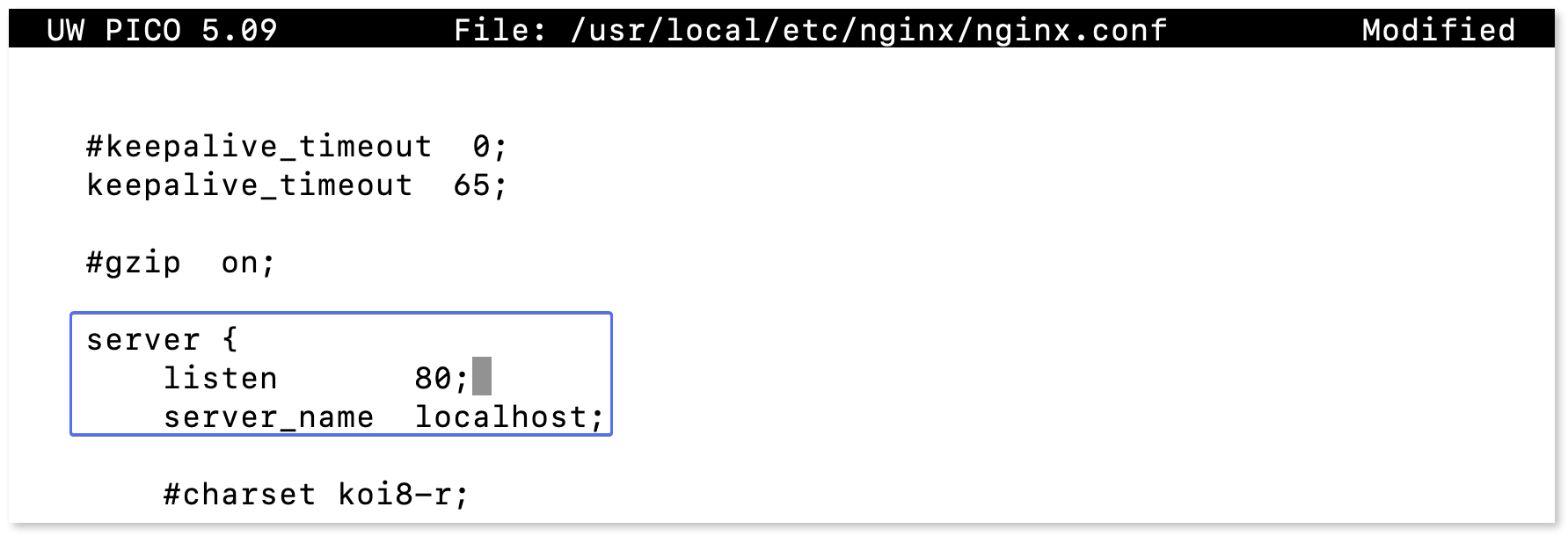 nginx.conf file section indicating the port number.