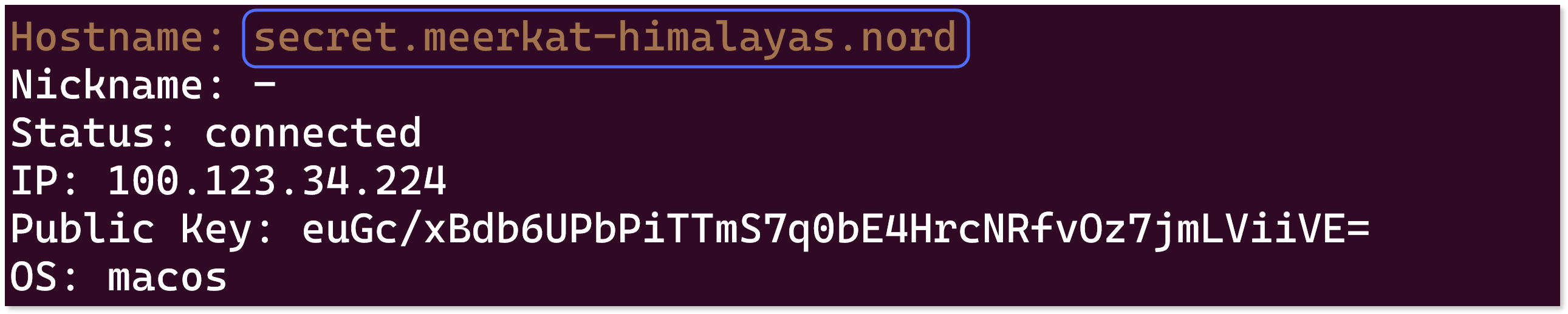 Terminal output of the 'nordvpn meshnet peer list' command with a peer device's Nord name underlined.