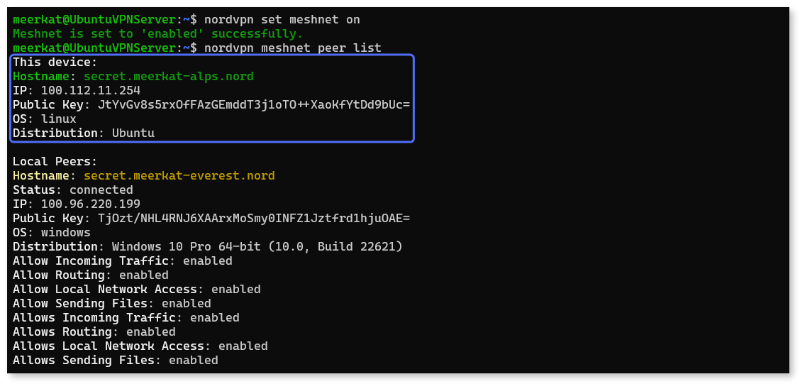 Enabling Meshnet and checking the Nord name and Meshnet IP of the VM.