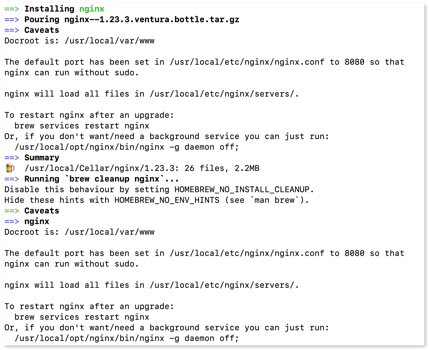 Terminal output of the NGINX installation.