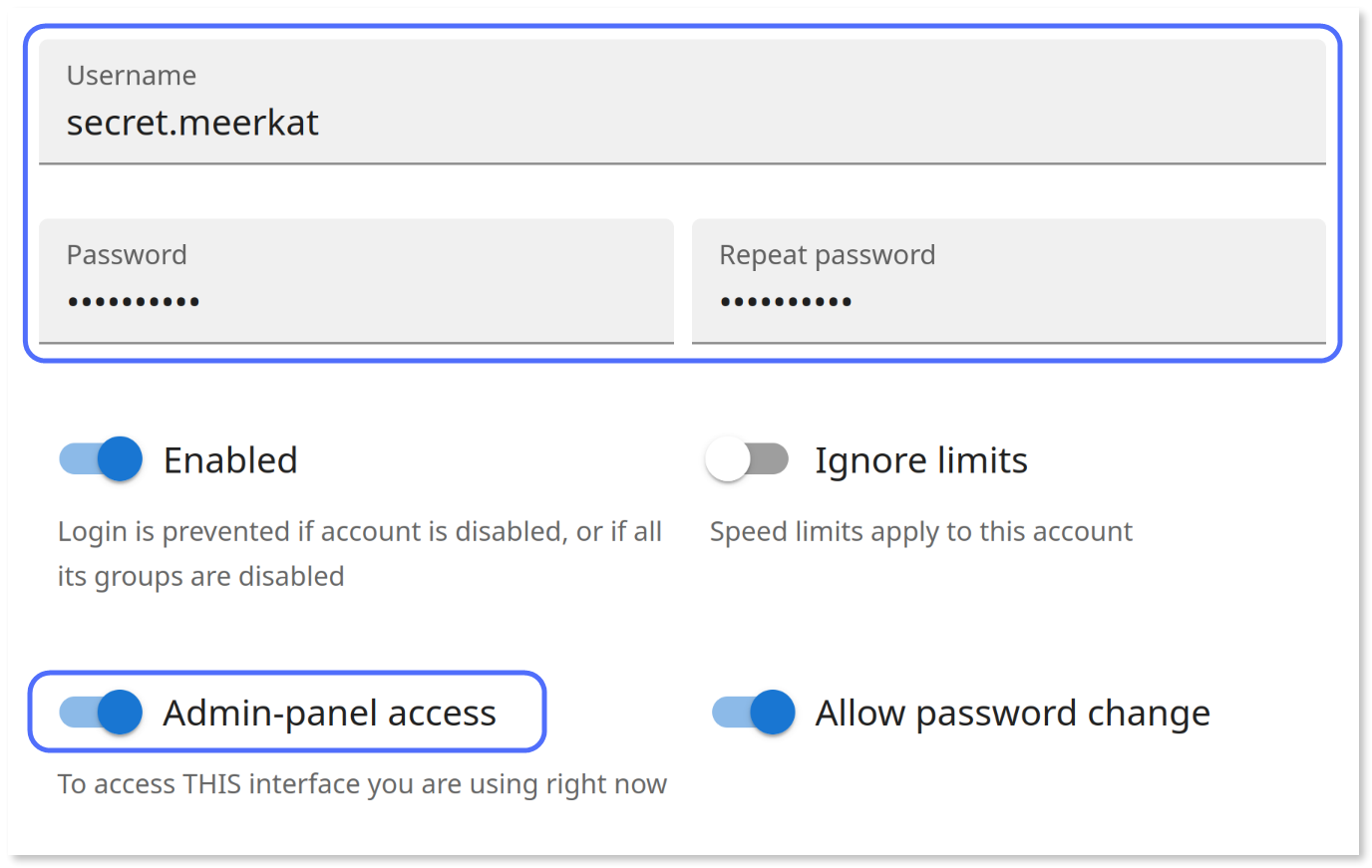 Entering the administrator account credentials with the 'Permission to access admin-panel' toggle enabled.