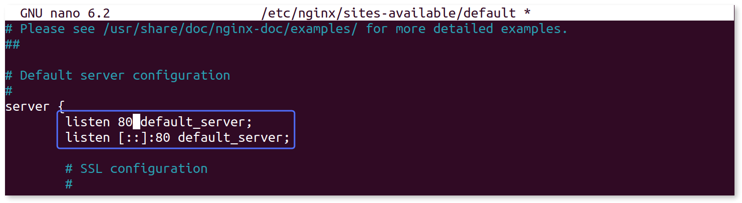 Section of the default file indicating the port number used by NGINX.