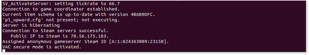 Activating the TF2 dedicated server.
