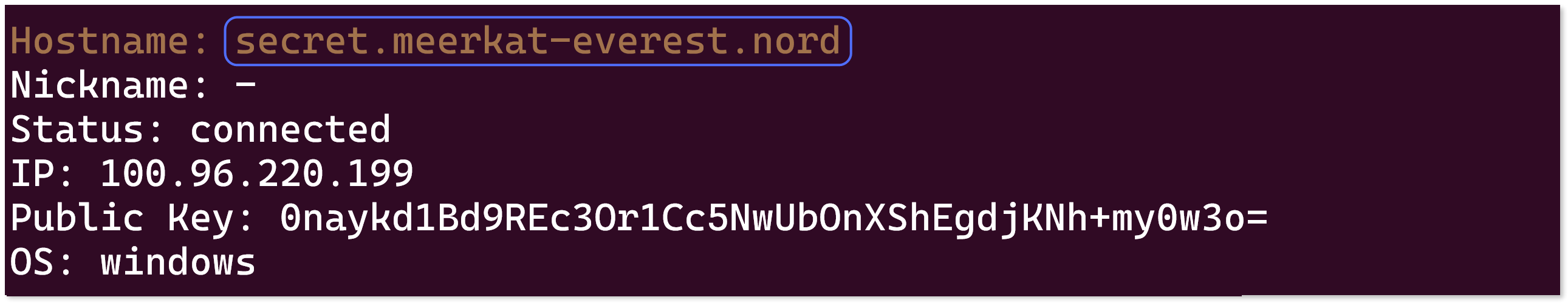 Nord name of a peer device highlighted in the terminal.