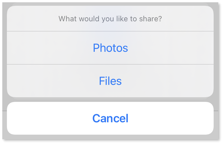 Showing the menu containing the Photos and the Files options.