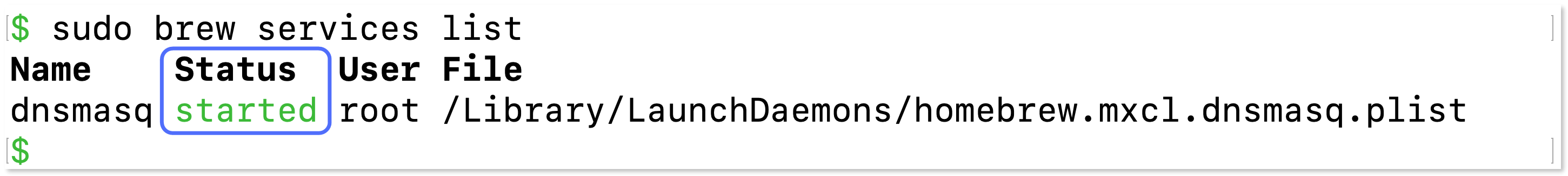 Status of the dnsmasq service