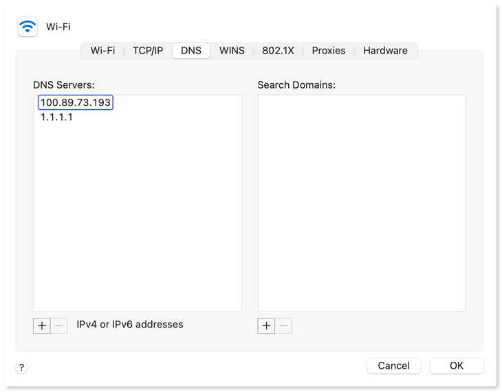 dnsmasq Meshnet IP entered in macOS DNS settings.