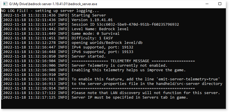 Bedrock Minecraft server started